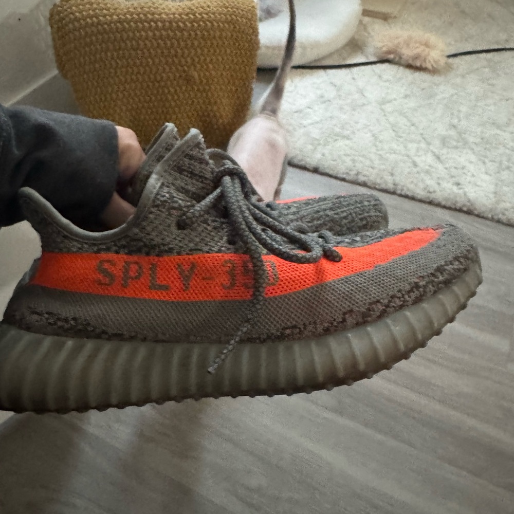 Adidas Yeezys 350